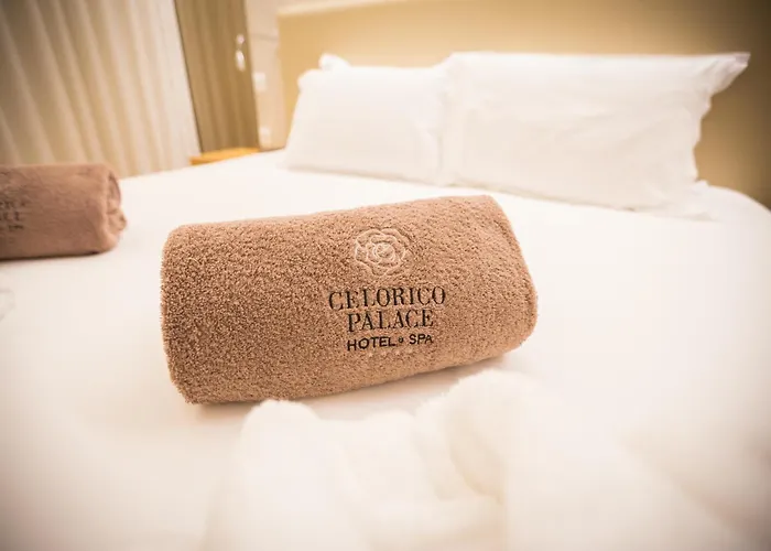 Flag Celorico Palace 4*