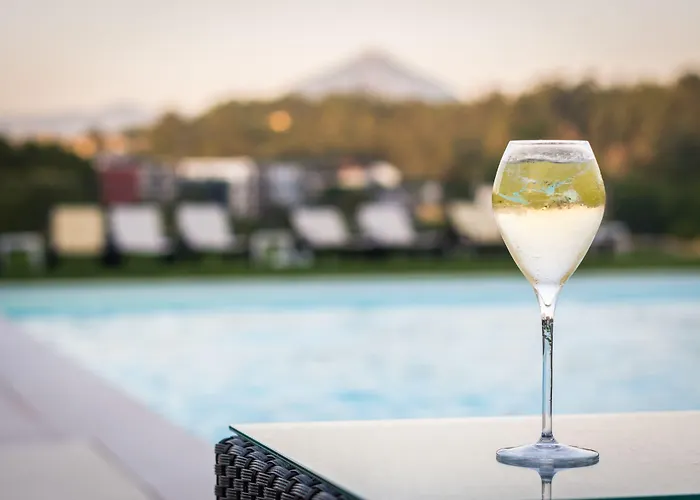 Flag Celorico Palace Hotel